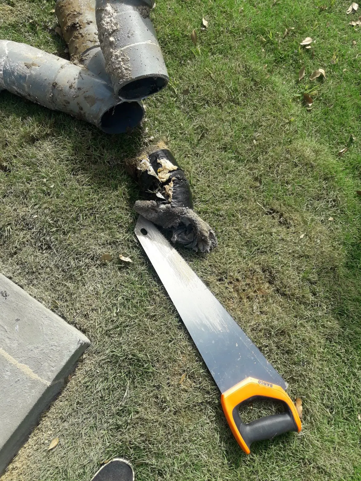 ChupaBeerput work